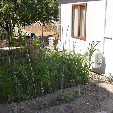 Casa vacanze Holiday *